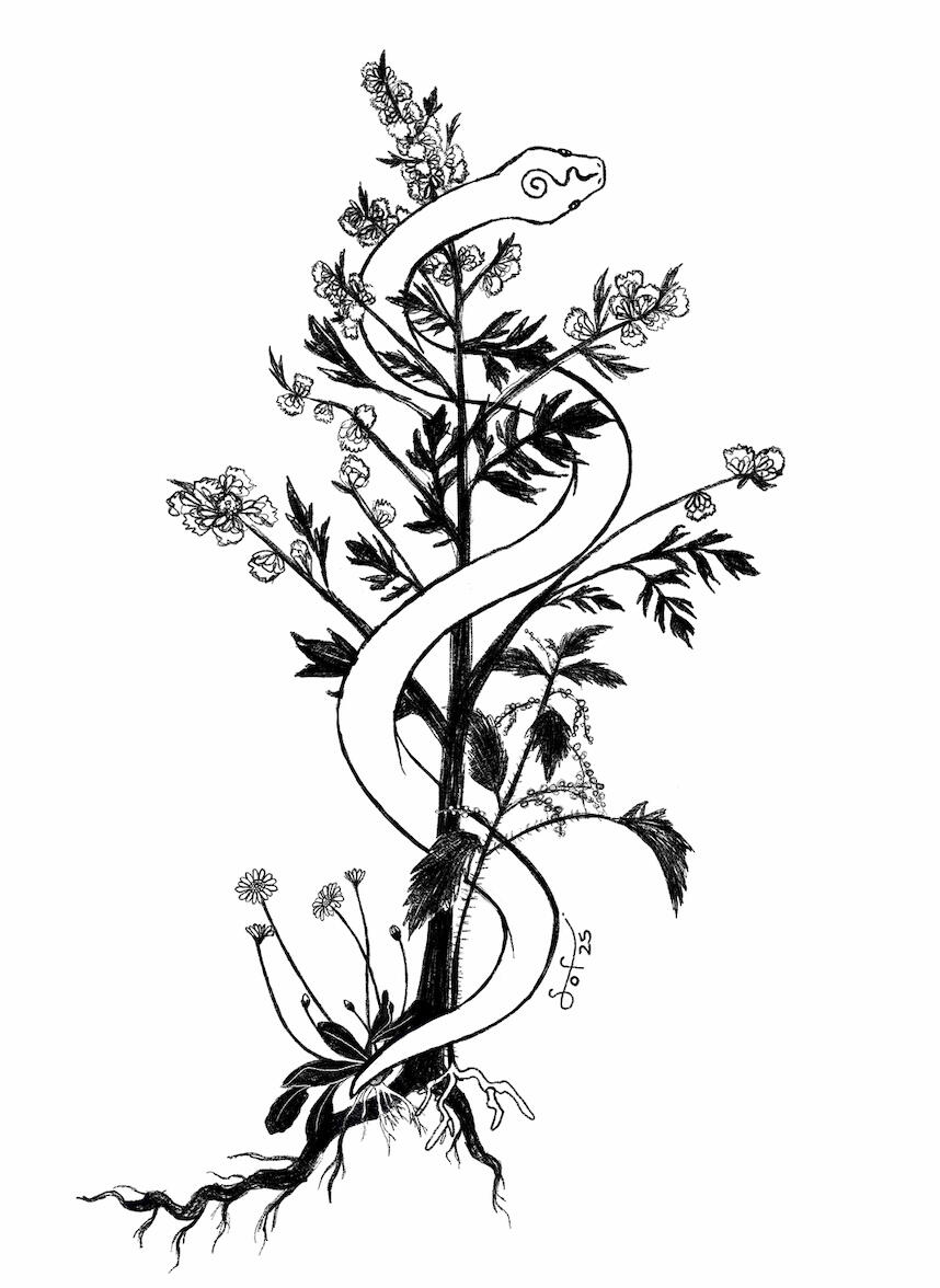 Digital drawing. Biel, 2025